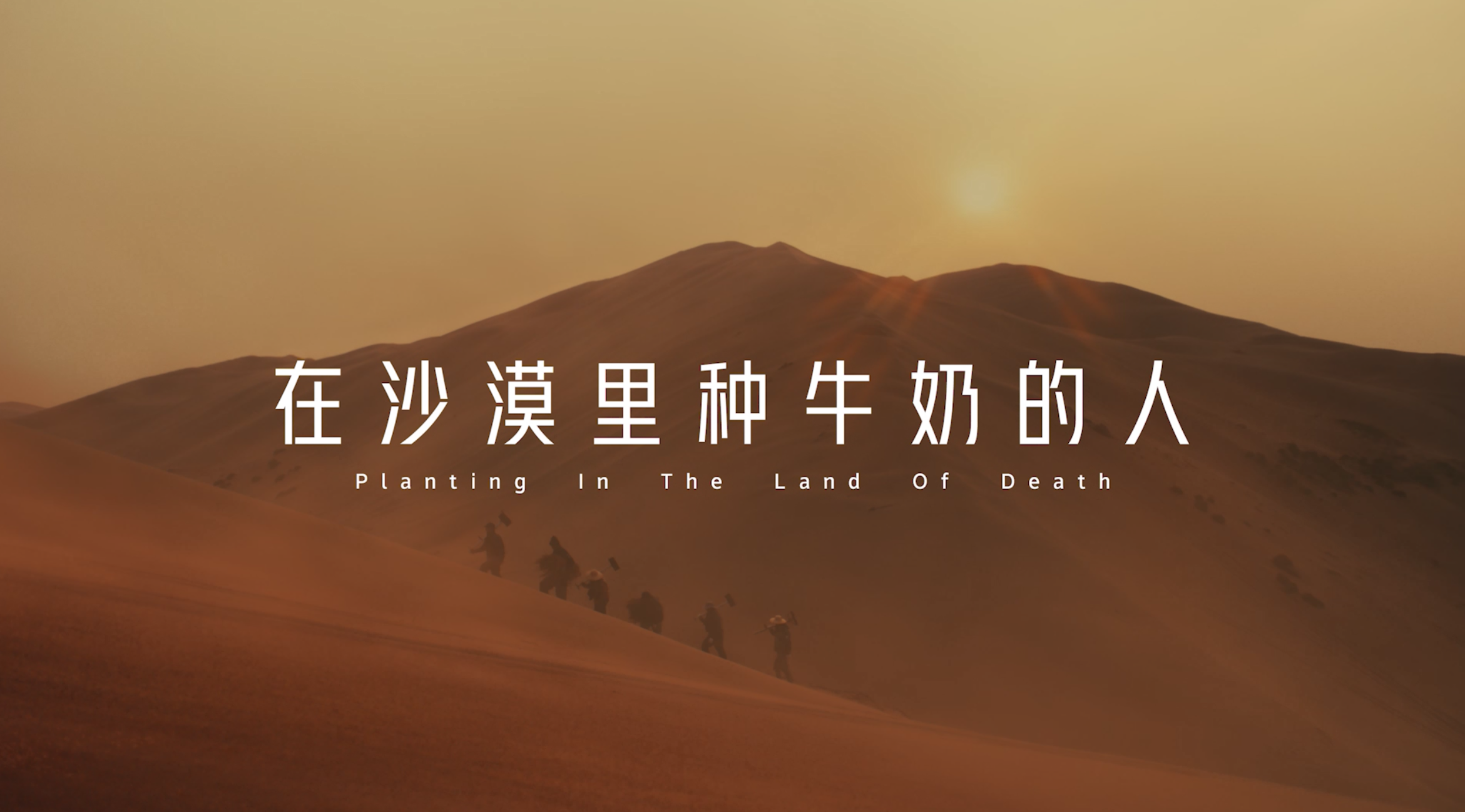 蒙牛《在沙漠里种牛奶的人》，一部征服千年“红色公牛”的“要强”史诗