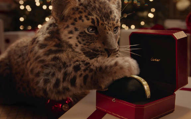 圣诞夜惊魂，卡地亚小猎豹从画中出逃
