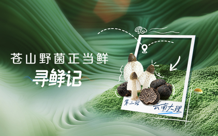 优质内容种草，助力老板电器寻鲜记内容出圈