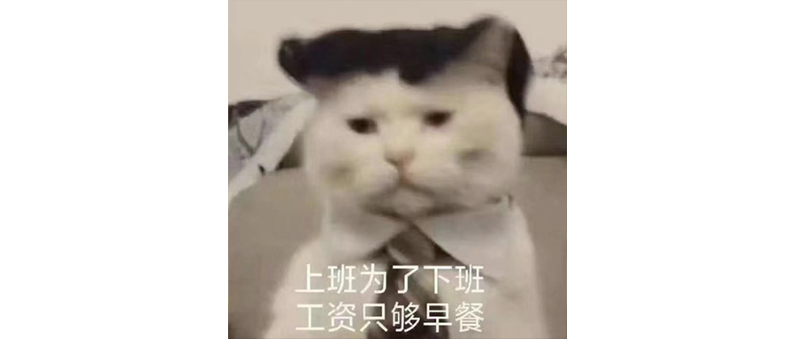 电子咖啡手环弱爆了，我直接用狗的电击项圈