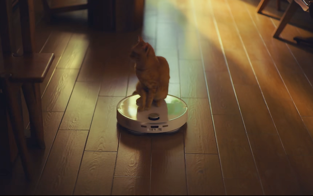 小红书用户写的一段散文，被品牌拍出来了