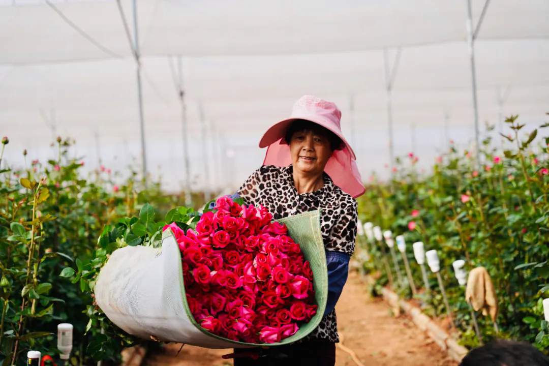 千亿向新，拼多多的增长新路径