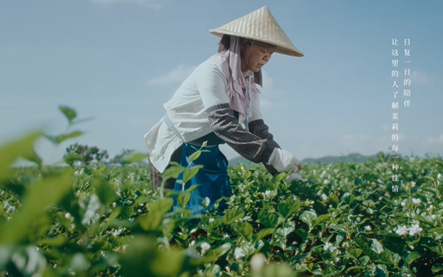 霸王茶姬八周年短片，拍出了我想过的乡野生活