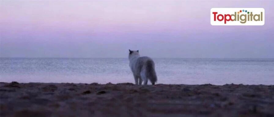 2026，什么是好品牌的新标准？ | TopDigital关键洞察