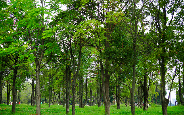当“足力健”告别“老人鞋”：银发经济 “无龄感”才刚开始