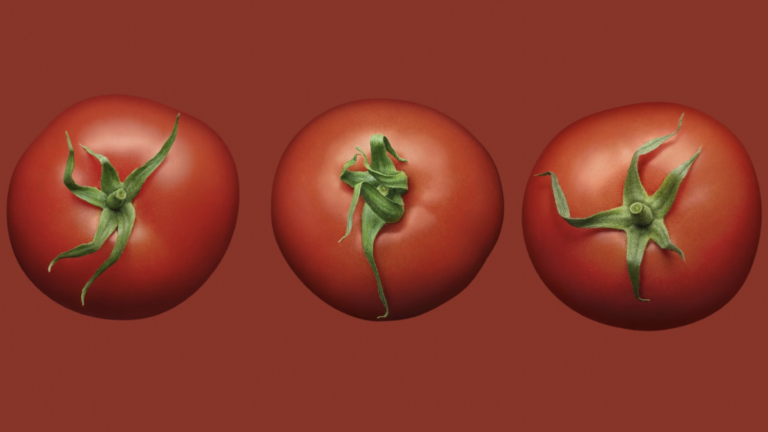 独家对话甲乙方：34颗番茄刷屏的真相，是ROI时代 “敢赢” 的创意勇气！