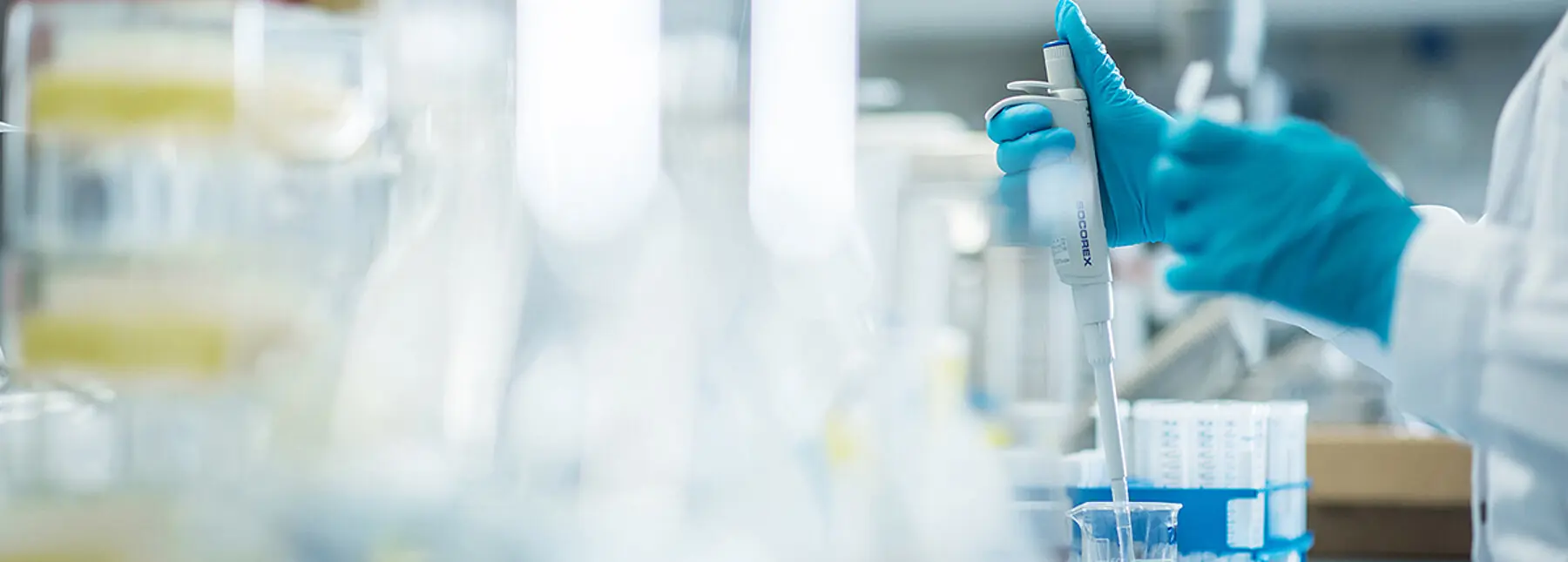 精准命名，强化专业优势，Geistlich盖氏中国品牌焕新之路