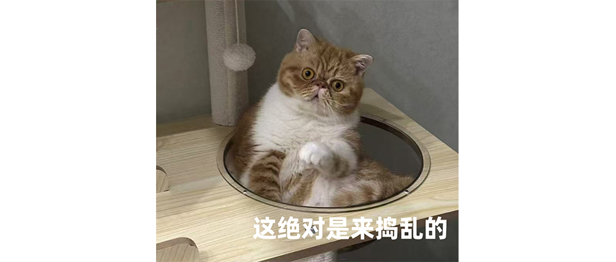 印度恒河看到这个都傻眼了