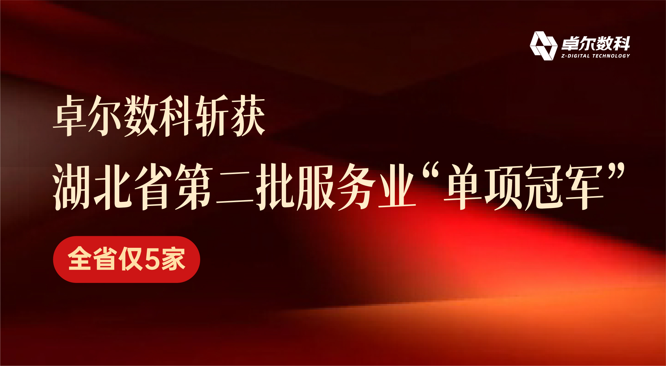 全省仅5家！卓尔数科斩获湖北省第二批服务业“单项冠军”，多项百强榜单实力登榜