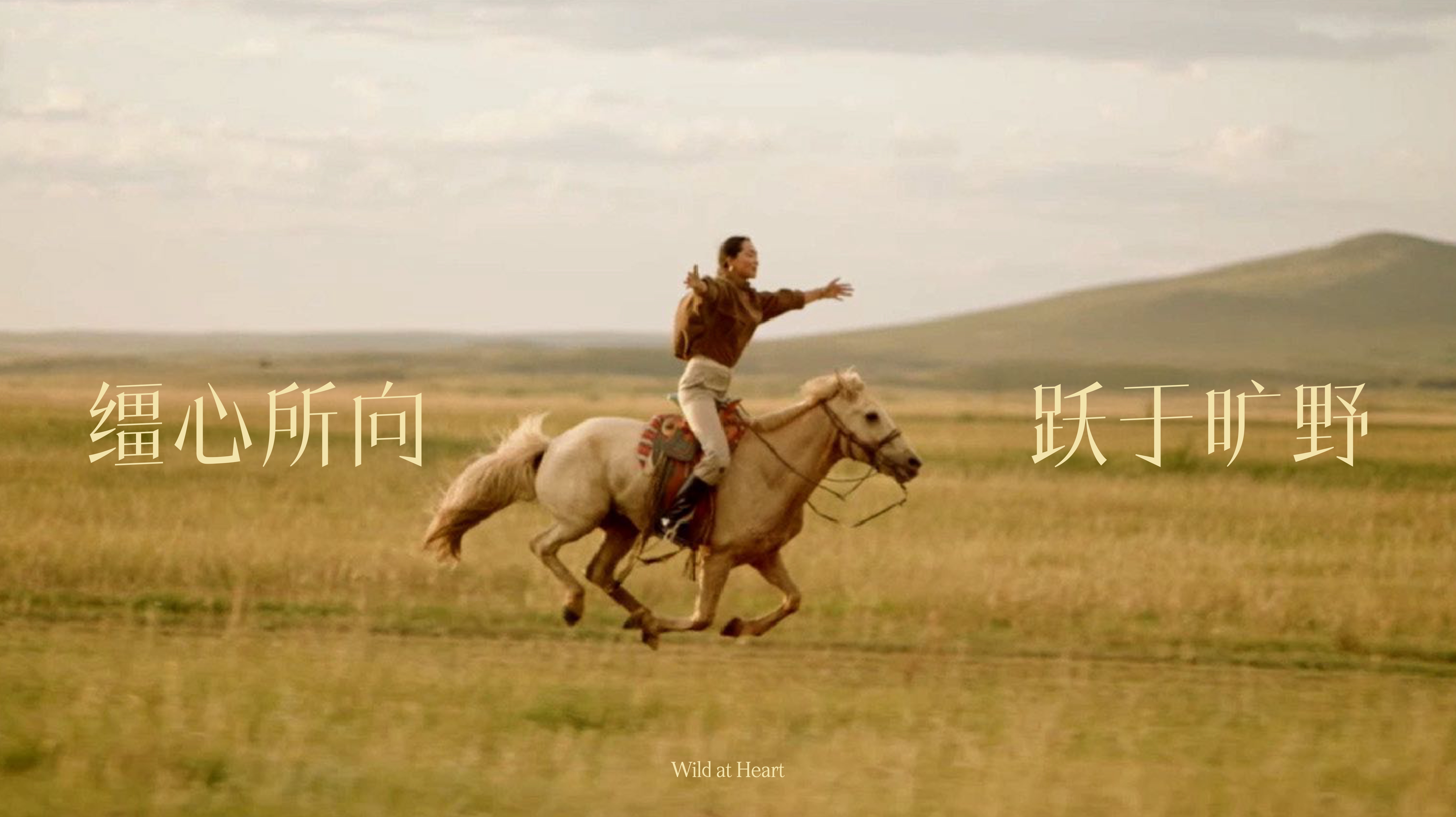 思加图骑士靴《缰心所向 跃于旷野》：一位女性驯马师的故事