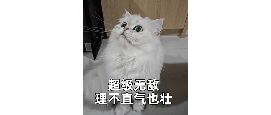 华与华和西贝是有什么深仇大恨吗？