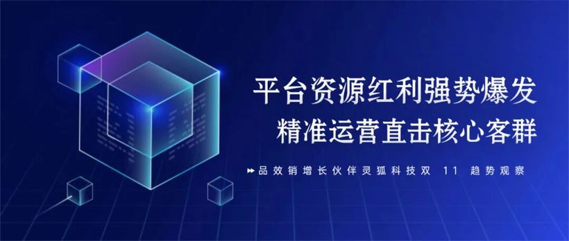 双 11 趋势观察（二） | 平台资源红利强势爆发，精准运营直击核心客群
