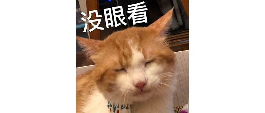 不看《狂野时代》，我的命可能都没了