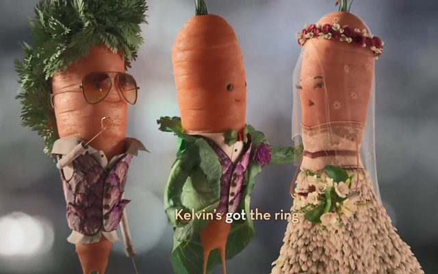 奥乐齐圣诞广告：凯文和凯蒂结婚了