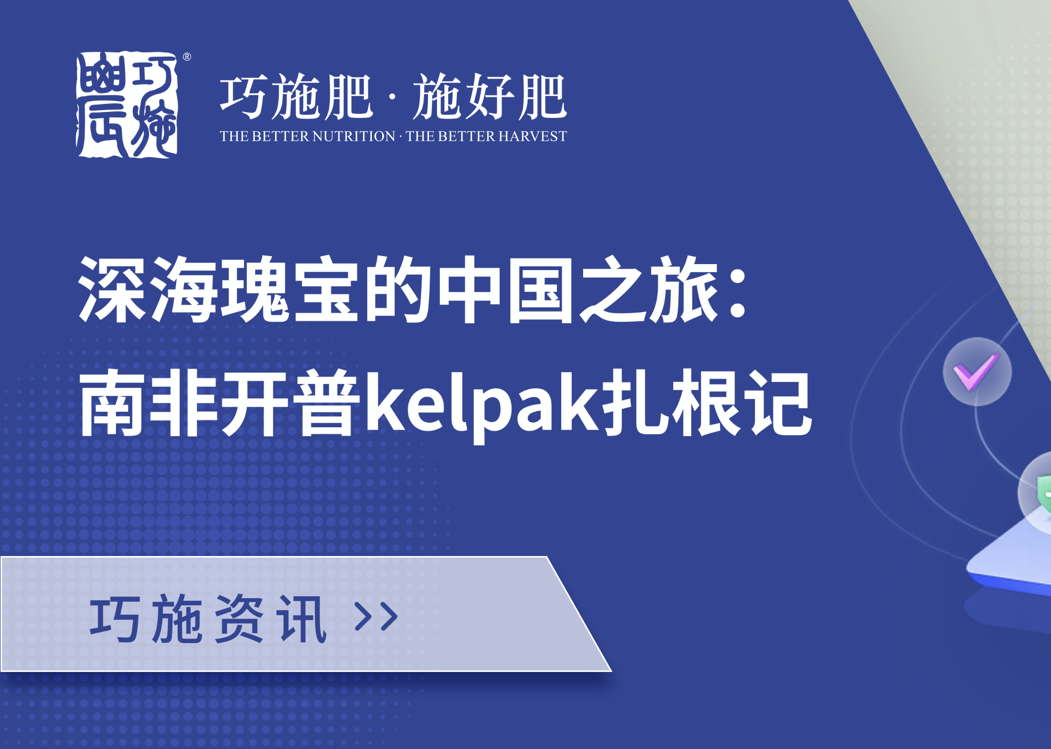 【巧施资讯】深海瑰宝的中国之旅：南非开普kelpak扎根记