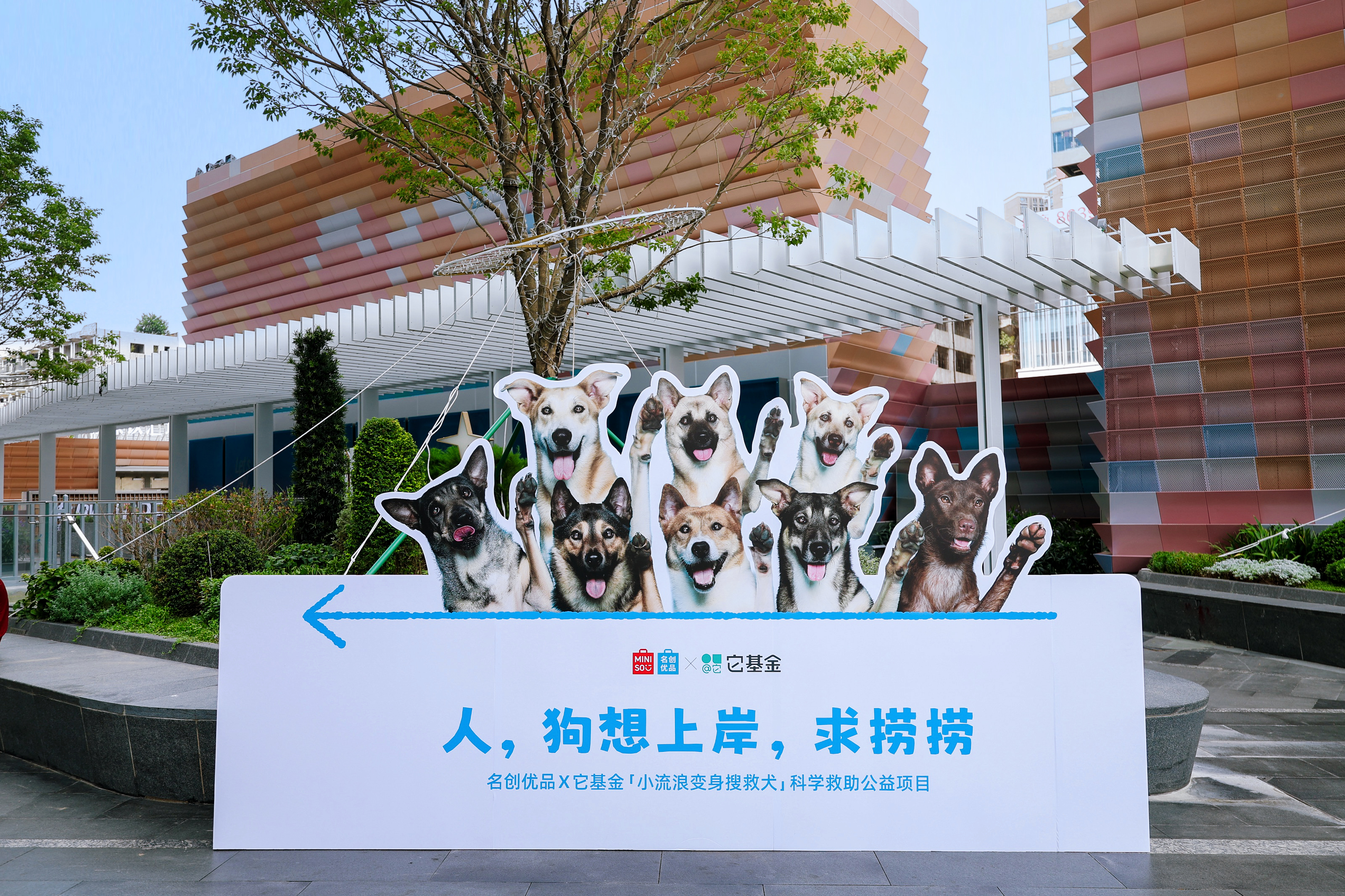 名创优品×它基金 人，小流浪想“上岸”，求捞捞~