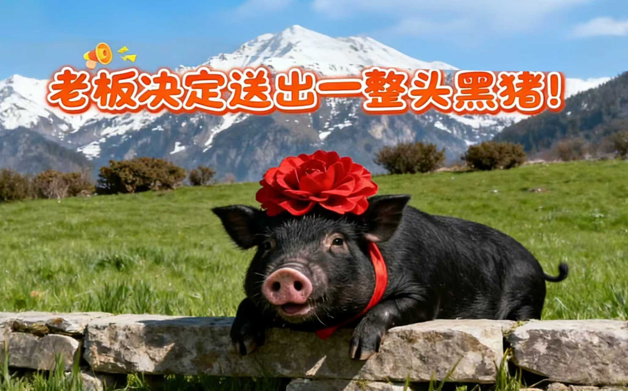 抽奖送一整头猪？叮咚买菜这波操作让全网疯了