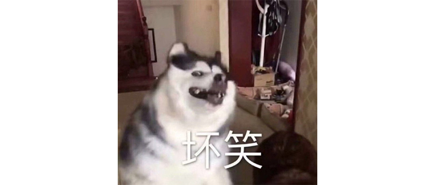 三體人看到賈躍亭的車都要傻眼