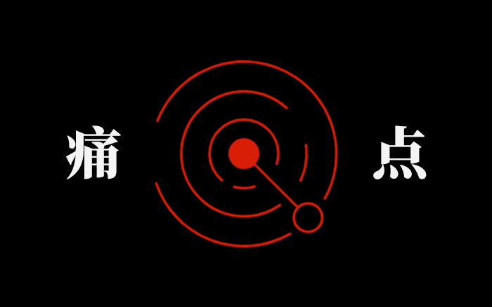 罗永浩：真正的IP要长在业务痛点上