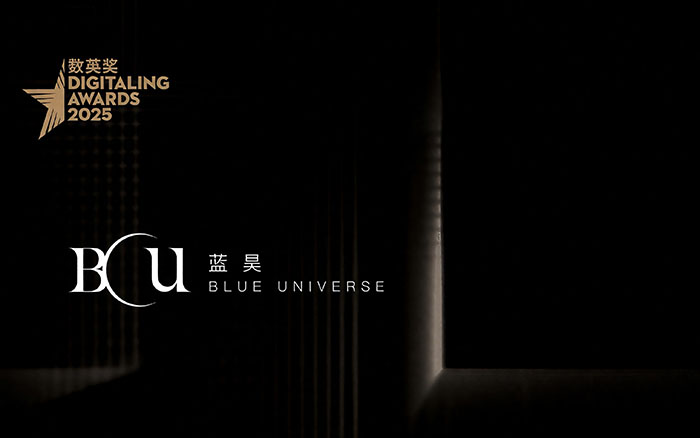 獎(jiǎng)訊 | 榮譽(yù)時(shí)刻！BU藍(lán)昊獲數(shù)英獎(jiǎng)2銀4銅