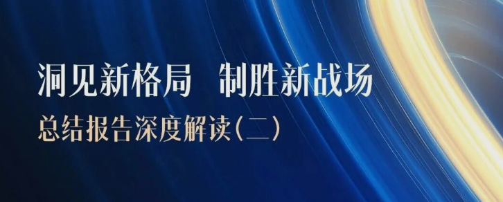 《洞见新格局 制胜新战场》品效销增长伙伴灵狐2025年双11电商营销总结报告深度解读（二）
