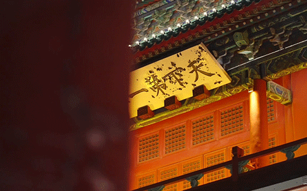 中華土雞節(jié)：引領(lǐng)產(chǎn)業(yè)變革，讓中國人愛上中華土雞