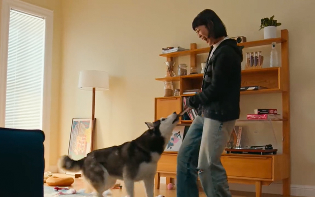 CASETiFY：二哈都啃不坏的手机壳