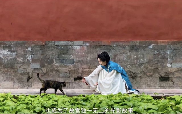 vivo入局文博营销：懂出片技术更懂中式审美！