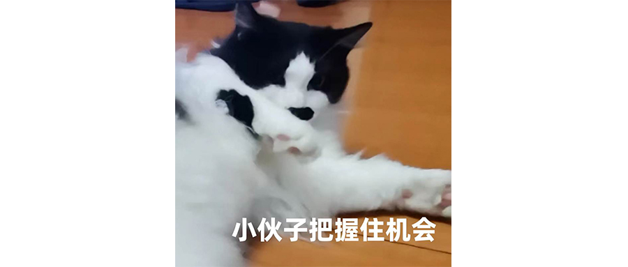 不要等到電子陽痿的時候才想起來玩游戲