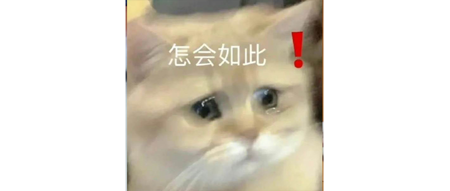 始祖鳥簡直便宜過頭了