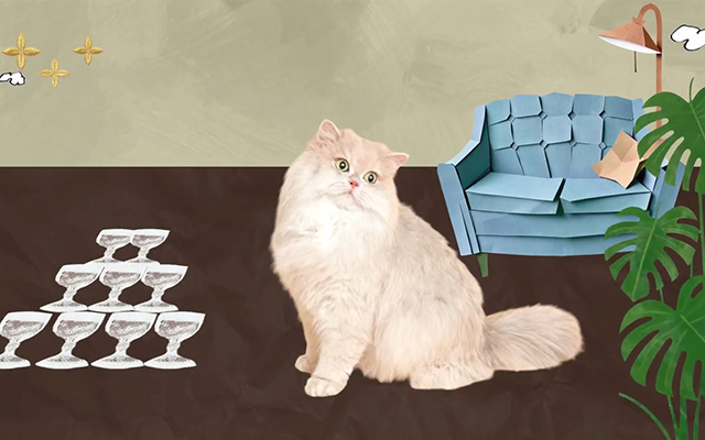 茉莉奶白和貓聯(lián)名了，好戳人的貓咪文學(xué)