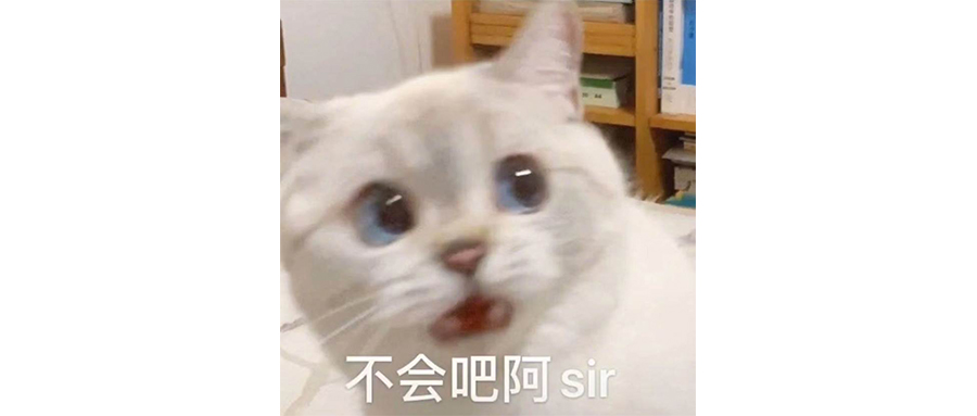 千萬不要辭職賣雞