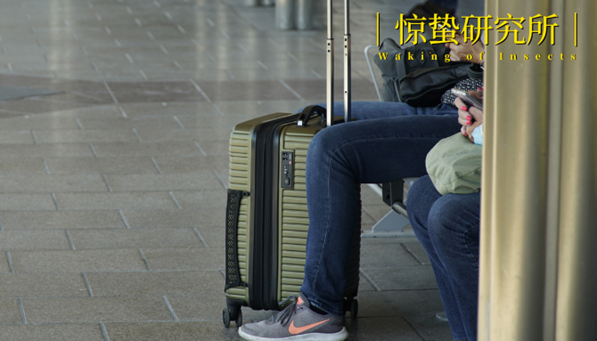 一線訪談丨返鄉(xiāng)三年的90后們，后悔了嗎？