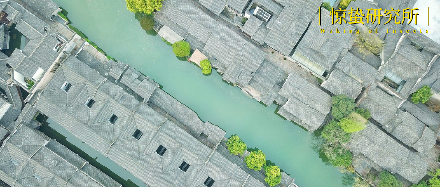 商業(yè)泛濫的古鎮(zhèn)，該換種打法了