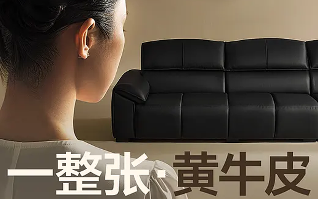 法莎蒂战略全案：从0起步成长为亿级品牌