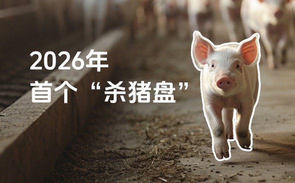 2026 年首个“杀猪盘”，被合川文旅接住了