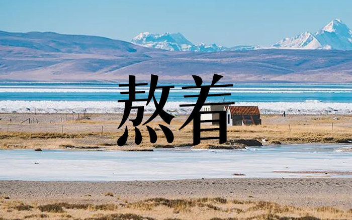 從第一次寫作，到熬出第一篇10w+，我是怎么茍活到今天的？