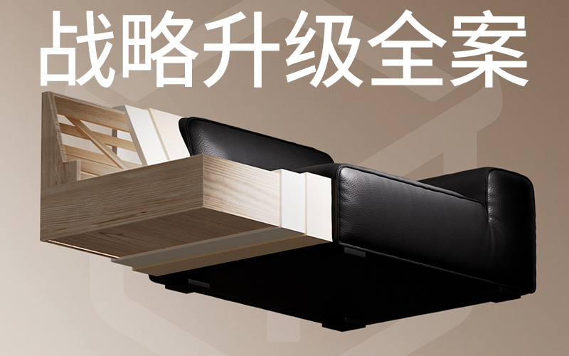 像素✖宜洛 品牌超级体系视觉 品牌咨询 电商视觉全案