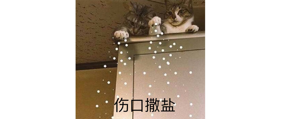 如果你对生活不满，可以想想西贝的公关