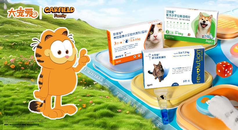 大寵愛 AI驅(qū)動(dòng)全域增長