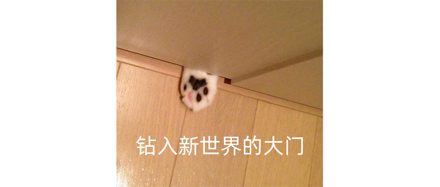 小红书上的过年给我看傻眼了