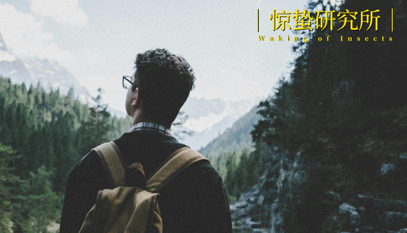 放弃躺赚后，景区赢麻了
