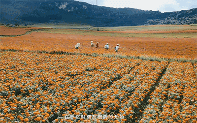 中国银联：到天南海北的乡村去接接地气