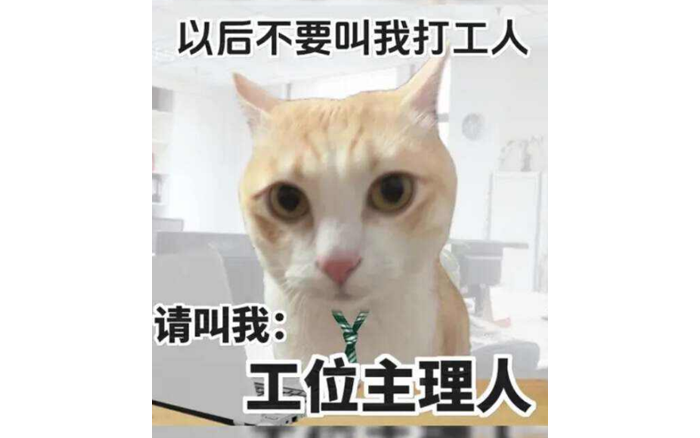 年度最火人設(shè)，主理人們又行了