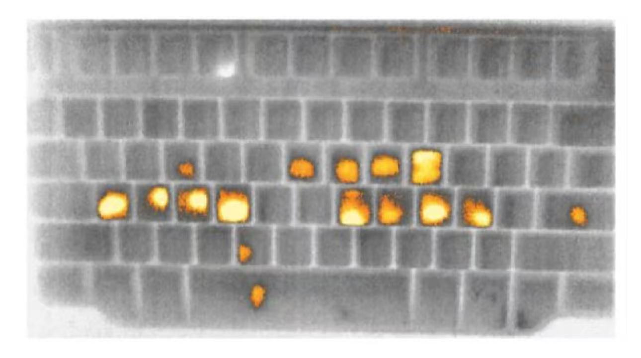 2026的广告密码是？