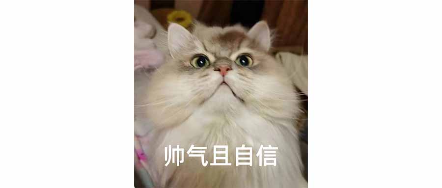 飞鹤这个犟法，谁学得会？