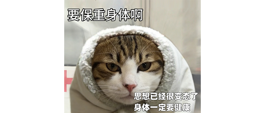 蚂蚁阿福：是谁～把我送到你身边～