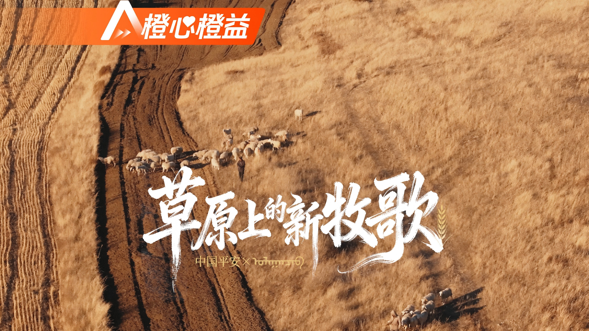 平安微生活 橙心橙益-烏蘭察布鄉(xiāng)村振興