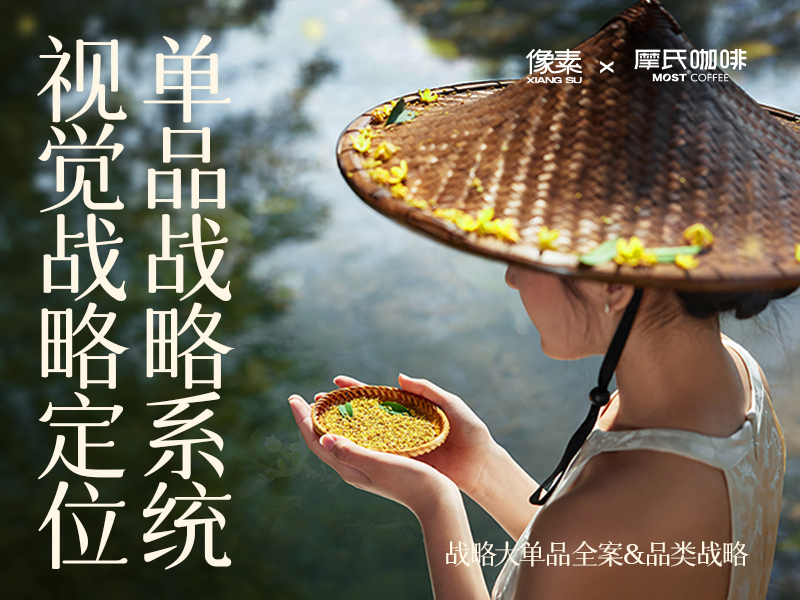 像素?摩氏 品牌咨詢 品類定位 單品戰(zhàn)略 視覺全案