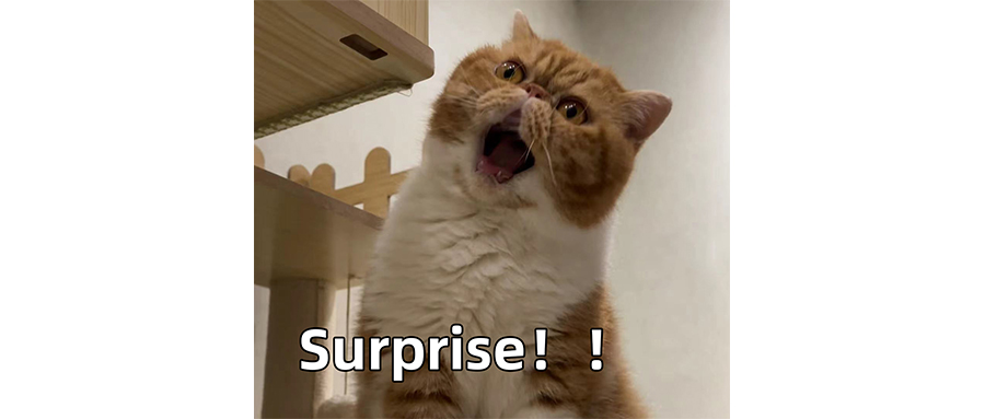 售價3萬的羽絨服出汗就掉色？LV太實在了